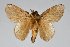  ( - BC-GD0700)  @11 [ ] Creative Common (2018) Guy Durand Research Collection of Guy Durand