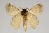  ( - BC-GD0703)  @11 [ ] Creative Common (2018) Guy Durand Research Collection of Guy Durand
