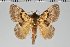  ( - BC-GD0704)  @11 [ ] Creative Common (2018) Guy Durand Research Collection of Guy Durand