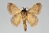  ( - BC-GD0704)  @11 [ ] Creative Common (2018) Guy Durand Research Collection of Guy Durand