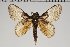 ( - BC-GD0705)  @11 [ ] Creative Common (2018) Guy Durand Research Collection of Guy Durand