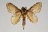  ( - BC-GD0705)  @11 [ ] Creative Common (2018) Guy Durand Research Collection of Guy Durand