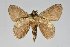  ( - BC-GD0717)  @11 [ ] Creative Common (2018) Guy Durand Research Collection of Guy Durand