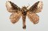  ( - BC-GD0737)  @11 [ ] Creative Common (2018) Guy Durand Research Collection of Guy Durand