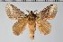  ( - BC-GD0738)  @11 [ ] Creative Common (2018) Guy Durand Research Collection of Guy Durand