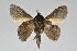  ( - BC-GD0744)  @11 [ ] Creative Common (2018) Guy Durand Research Collection of Guy Durand