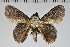  ( - BC-GD0745)  @11 [ ] Creative Common (2018) Guy Durand Research Collection of Guy Durand