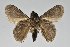  ( - BC-GD0745)  @11 [ ] Creative Common (2018) Guy Durand Research Collection of Guy Durand