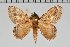  ( - BC-GD0750)  @11 [ ] Creative Common (2018) Guy Durand Research Collection of Guy Durand