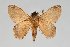  ( - BC-GD0750)  @11 [ ] Creative Common (2018) Guy Durand Research Collection of Guy Durand