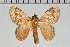  ( - BC-GD0751)  @11 [ ] Creative Common (2018) Guy Durand Research Collection of Guy Durand