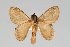  ( - BC-GD0751)  @11 [ ] Creative Common (2018) Guy Durand Research Collection of Guy Durand