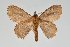  ( - BC-GD0752)  @11 [ ] Creative Common (2018) Guy Durand Research Collection of Guy Durand