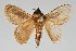  ( - BC-GD0753)  @11 [ ] Creative Common (2018) Guy Durand Research Collection of Guy Durand