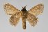  ( - BC-GD0757)  @11 [ ] Creative Common (2018) Guy Durand Research Collection of Guy Durand