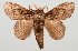  ( - BC-GD0759)  @11 [ ] Creative Common (2018) Guy Durand Research Collection of Guy Durand