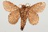  ( - BC-GD0759)  @11 [ ] Creative Common (2018) Guy Durand Research Collection of Guy Durand