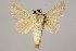  ( - BC-GD0788)  @11 [ ] Creative Common (2018) Guy Durand Research Collection of Guy Durand