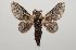  ( - BC-GD0789)  @11 [ ] Creative Common (2018) Guy Durand Research Collection of Guy Durand