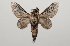  ( - BC-GD0789)  @11 [ ] Creative Common (2018) Guy Durand Research Collection of Guy Durand