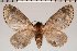  ( - BC-GD0792)  @11 [ ] Creative Common (2018) Guy Durand Research Collection of Guy Durand