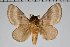  (Mesera - BC-GD0797)  @11 [ ] Creative Common (2018) Guy Durand Research Collection of Guy Durand