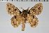  ( - BC-GD0800)  @11 [ ] Creative Common (2018) Guy Durand Research Collection of Guy Durand
