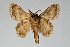  ( - BC-GD0800)  @11 [ ] Creative Common (2018) Guy Durand Research Collection of Guy Durand