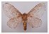  ( - GD-GF0011)  @11 [ ] Copyright (2018) Guy Durand Research Collection of Guy Durand