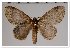  ( - GD-GF0027)  @11 [ ] Copyright (2018) Guy Durand Research Collection of Guy Durand