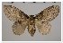  ( - GD-GF0029)  @11 [ ] Copyright (2018) Guy Durand Research Collection of Guy Durand