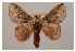  ( - GD-GF 0046)  @11 [ ] Copyright (2019) Guy Durand Unspecified