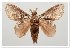  ( - GD-GF 0049)  @11 [ ] Copyright (2019) Guy Durand Unspecified