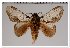  ( - GD-GF 0054)  @11 [ ] Copyright (2019) Guy Durand Unspecified
