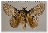  ( - GD-GF 0080)  @11 [ ] Copyright (2019) Guy Durand Unspecified