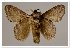  ( - GD-GF 0080)  @11 [ ] Copyright (2019) Guy Durand Unspecified
