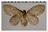  ( - GD-GF 0094)  @11 [ ] Copyright (2019) Guy Durand Unspecified
