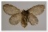  ( - GD-GF 0094)  @11 [ ] Copyright (2019) Guy Durand Unspecified