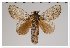  ( - GD-GF 0111)  @11 [ ] Copyright (2019) Guy Durand Unspecified