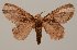  ( - GD-GF 0113)  @11 [ ] Copyright (2019) Guy Durand Unspecified