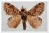  ( - GD-GF 0117)  @11 [ ] Copyright (2019) Guy Durand Unspecified