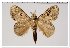  ( - GD-GF 0118)  @11 [ ] Copyright (2019) Guy Durand Unspecified