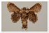  ( - GD-GF 0121)  @11 [ ] Copyright (2019) Guy Durand Unspecified