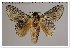  ( - GD-GF 0128)  @11 [ ] Copyright (2019) Guy Durand Unspecified