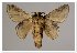  ( - GD-GF 0128)  @11 [ ] Copyright (2019) Guy Durand Unspecified