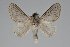  ( - GD-GF0168)  @11 [ ] Copyright (2020) Guy Durand Research Collection of Guy Durand