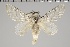  ( - GD-GF0174)  @11 [ ] Copyright (2020) Guy Durand Research Collection of Guy Durand