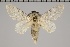  ( - GD-GF0175)  @11 [ ] Copyright (2020) Guy Durand Research Collection of Guy Durand