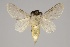  ( - GD-GF0175)  @11 [ ] Copyright (2020) Guy Durand Research Collection of Guy Durand