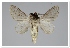  ( - GD-GF0178)  @11 [ ] Copyright (2020) Guy Durand Research Collection of Guy Durand